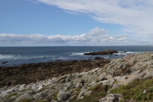 dsc08247_as_.jpg