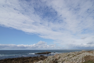 dsc08247_as_2.jpg