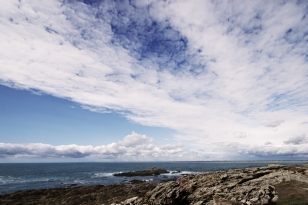 dsc08247_as_21.jpg